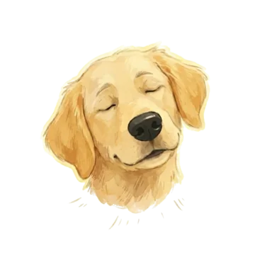 Pip meditiert